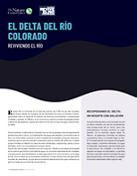 El Delta del Río Colorado
