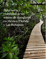 Relevancia y viabilidad de un seguro de manglares en México, Florida, y Las Bahamas
