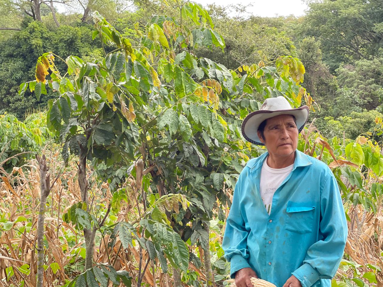 Los sistemas agropecuarios sostenibles 
