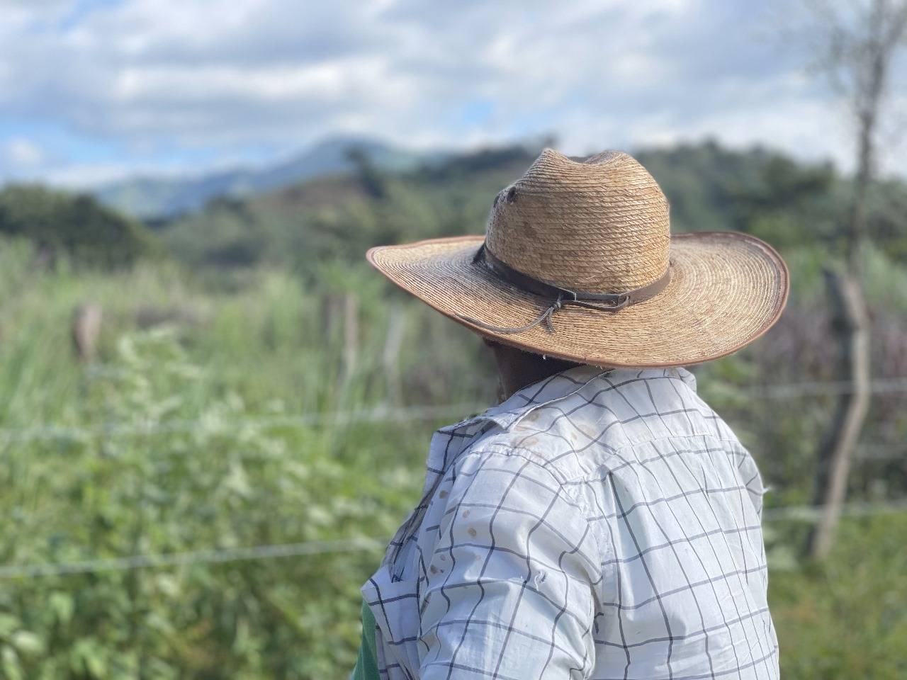 Los sistemas agropecuarios sostenibles 